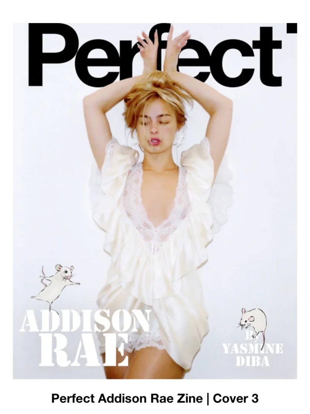 perfect magazine not sale